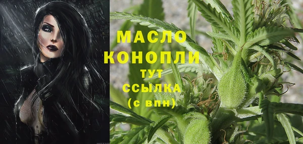 трава Медвежьегорск