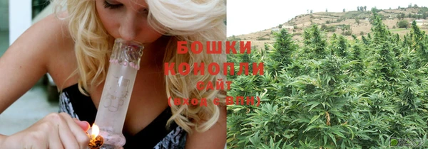 гидра Мегион