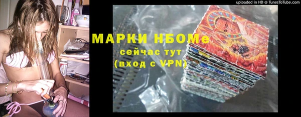 хмурый Алексин