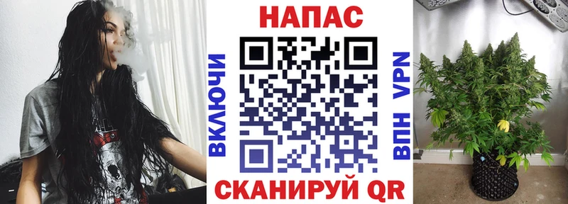 Шишки марихуана индика  blacksprut ссылки  Новошахтинск  даркнет сайт 